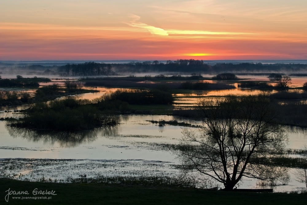 055_Biebrza - kwiecien 2009.jpg